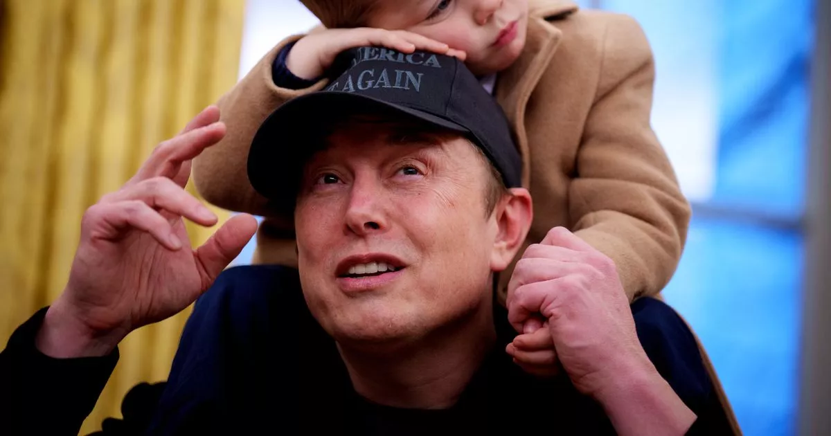 what-i-it’s’t’s-really-like-to-have-a-baby-with-elon-as-amber-heard-sparks-rumours