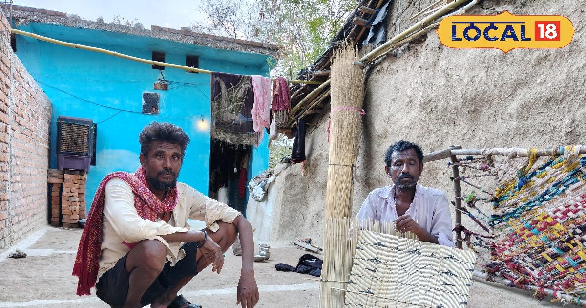Land Report: 300 Rupees Bamboo and 3000 Sai! Bamboo -tradition dies in Chhatarpur, the government is still quiet
