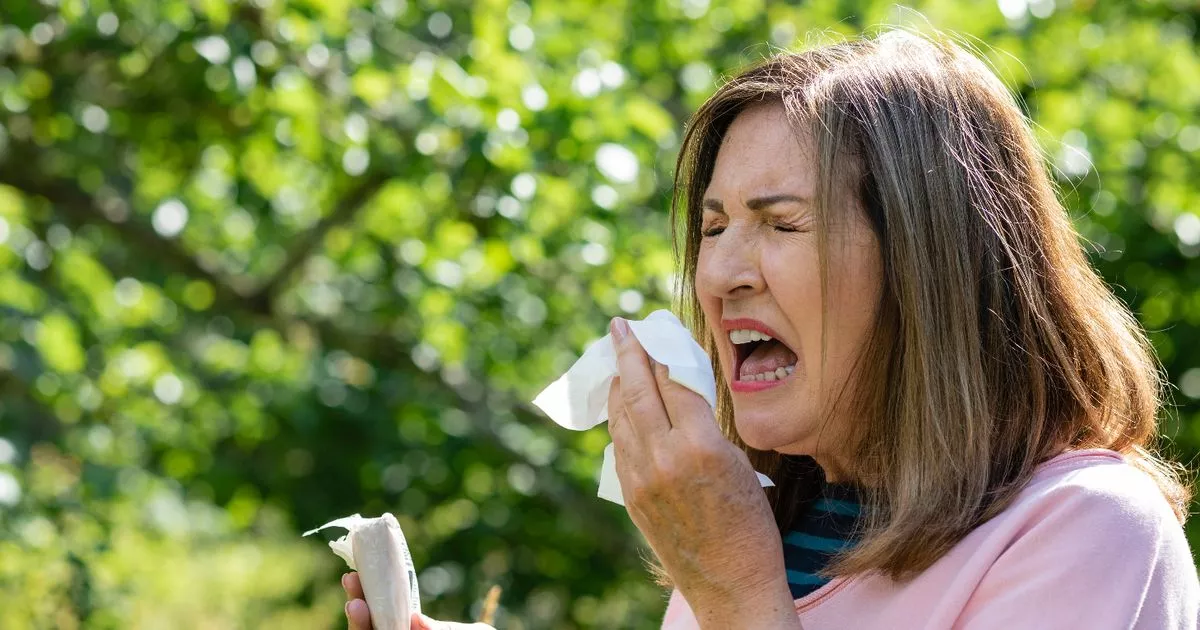 easiest-low-pollen-vegetation-for-hayfever-suferers-this-springtime,-says-educated