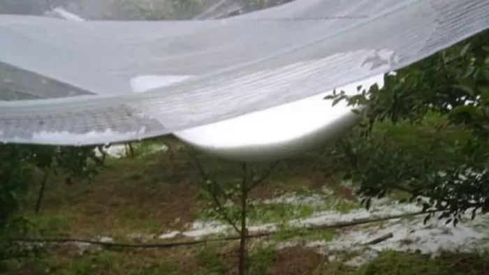 Himachal Weather today: Snowfall and hailstorm on high peaks, heavy crops; How will the weather be today? – Himachal weather snowfall and hailstorm on high peaks causes havoc heavy damage to crops’ possibility of rain tomorrow
