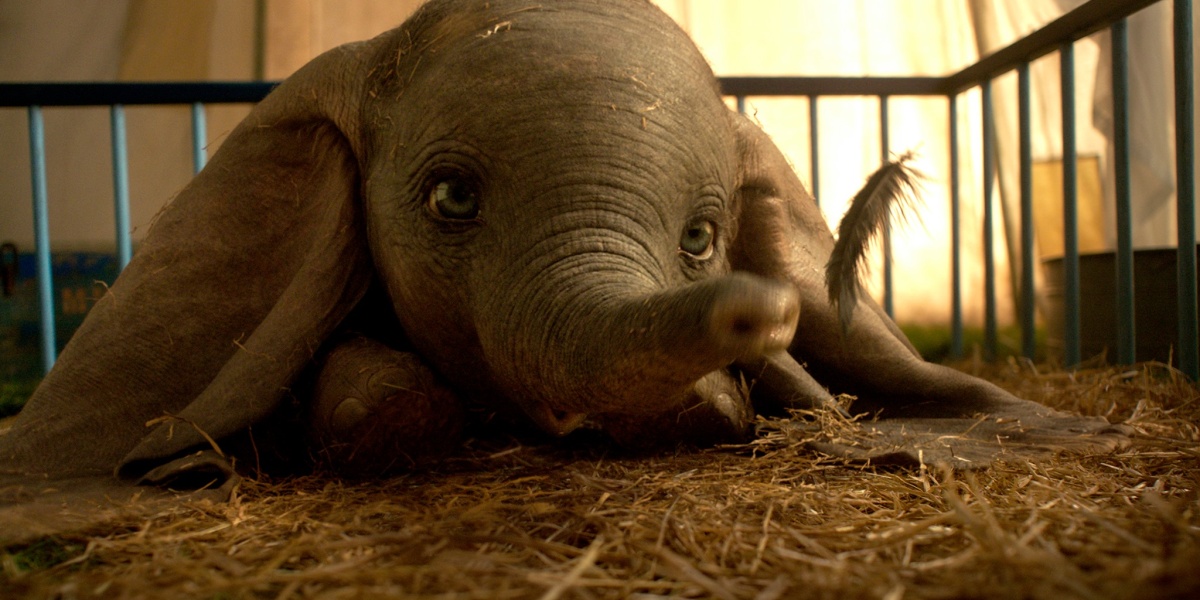 7-movies-sparked-controversy-by-discussing-animal-considerations-and-sparked-controversy