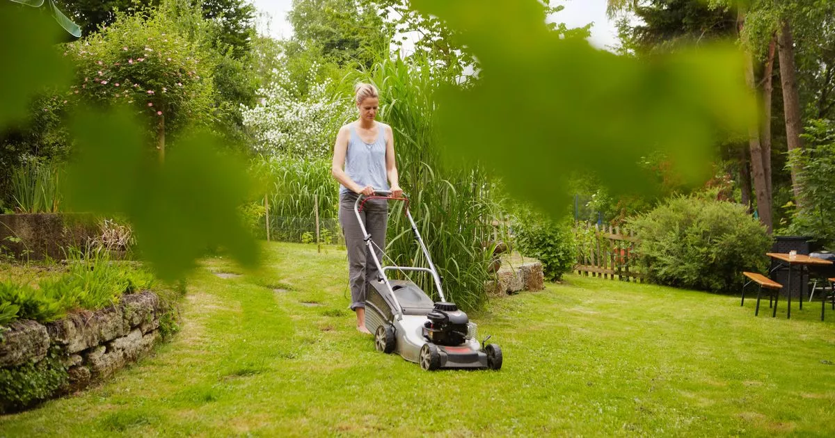 simplest-time-to-mow-your-backyard-to-slash-threat-of-‘broken-and-diseased’-grass