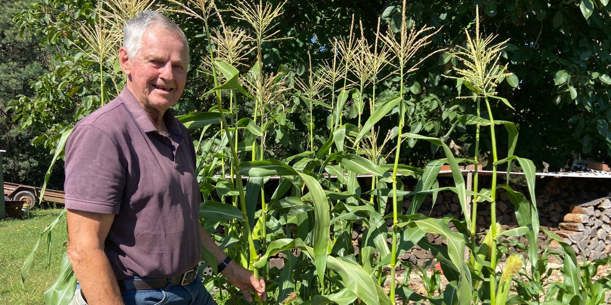 most-attention-grabbing-retirement-pointers-i’m-taking-from-86-year-old-dad-who-retired-at-55
