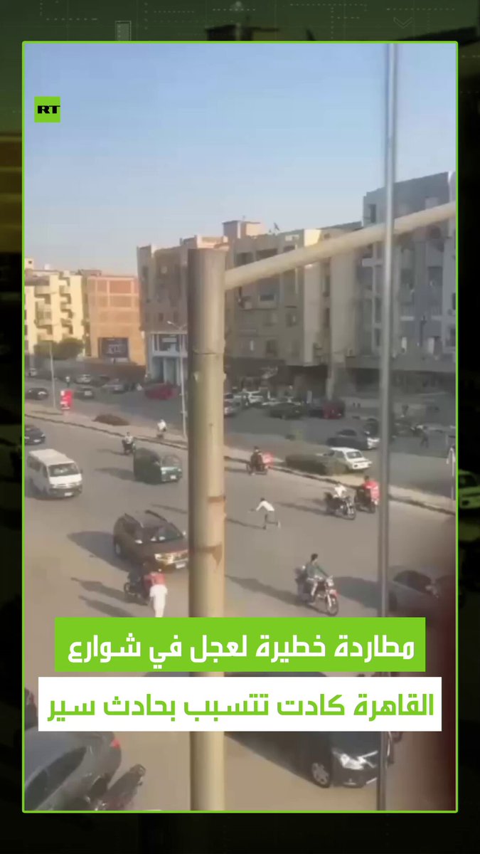 حاول الهروب من مصيره المحتوم.. مطاردة مثيرة بشوارع القاهرة لعجل هارب انطلق بسرعة بين السيارات…