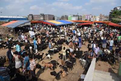 State governments vigilant, forbidden sacrifice and social media on Bakrid
