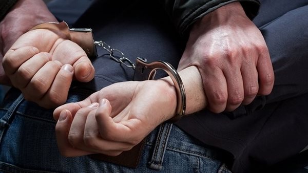 ضبط-بائع-فواكه-متجول-بالقاهرة-لوقوفه-الخئ-بالطريق-العام-دون-ترخيص