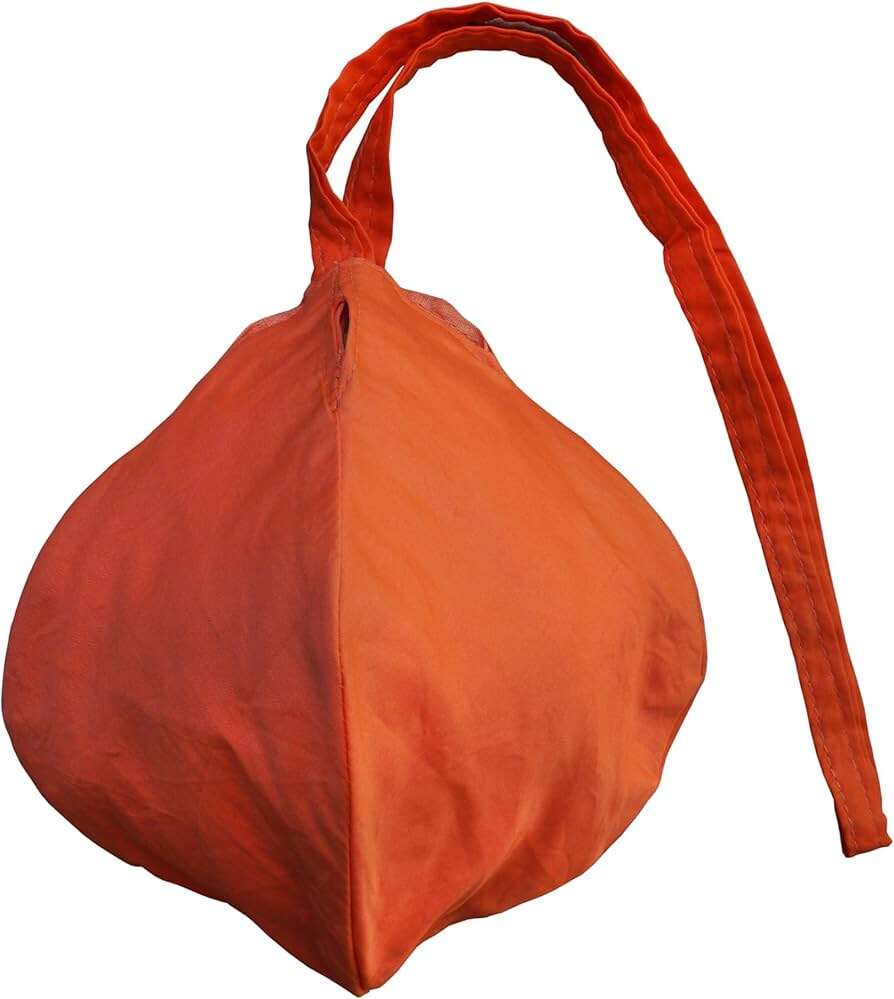 Oh God! The price of this small bag is so much that your home has to sell to buy, what is the special in this?