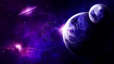 رزق مفاجئ وحب غير متوقع .. 3 أبراج على أعتاب عش الزوجية – ryan