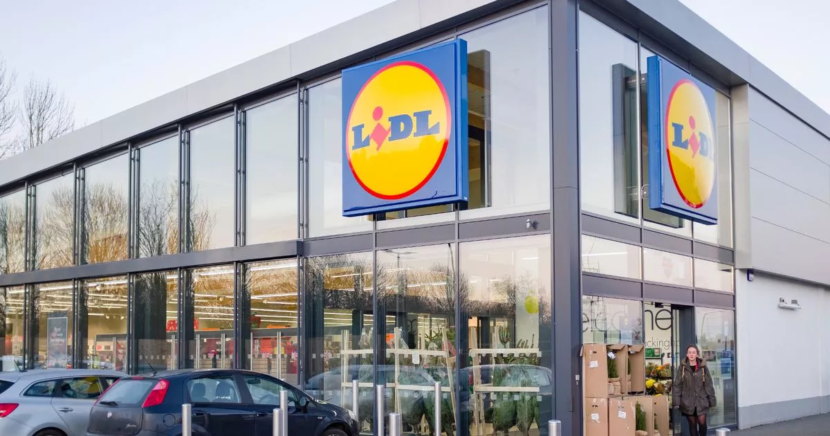 lidl-opening-40-contemporary-stoles-this-365-days-as-it-unearths-‘wish-list’-of-areas