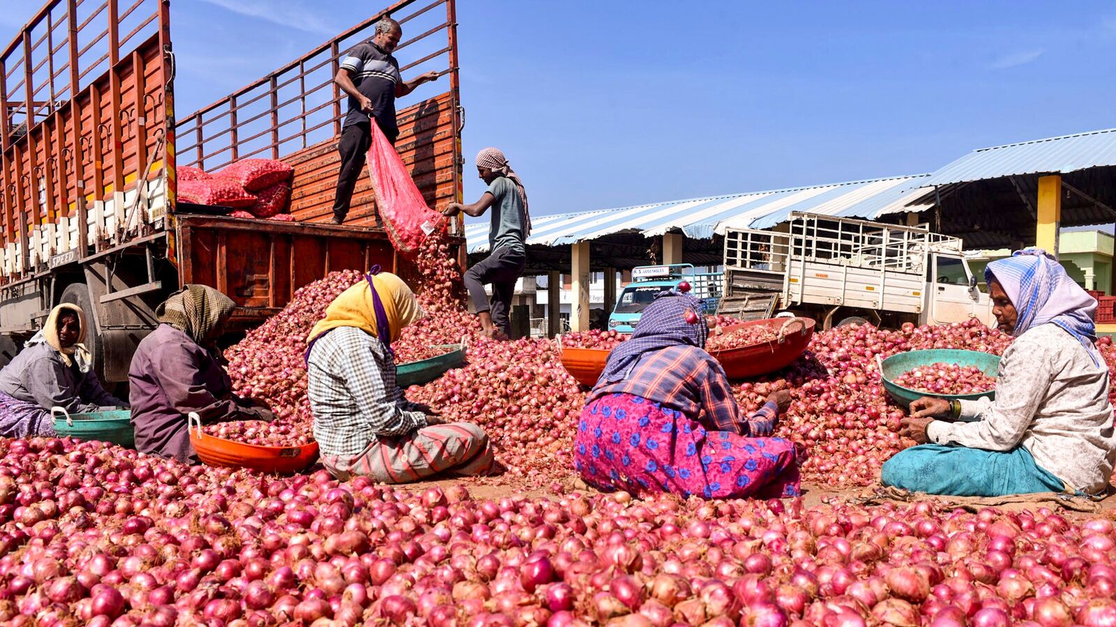Govt sets 72% cost recovery rate for onion purchases; PVT firms’ participation in checking decaying stocks, steep price | Mint