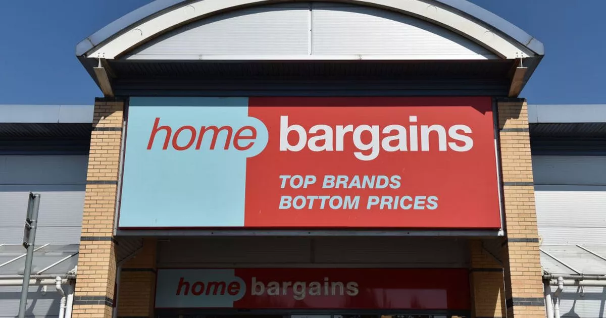 home-bargains’-‘ultimate’-20-backyard-lounger-is-ultimate-‘for-summer-days’