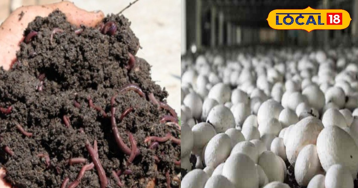Farmers will now become students, students will become self -sufficient in Sikar’s Science College