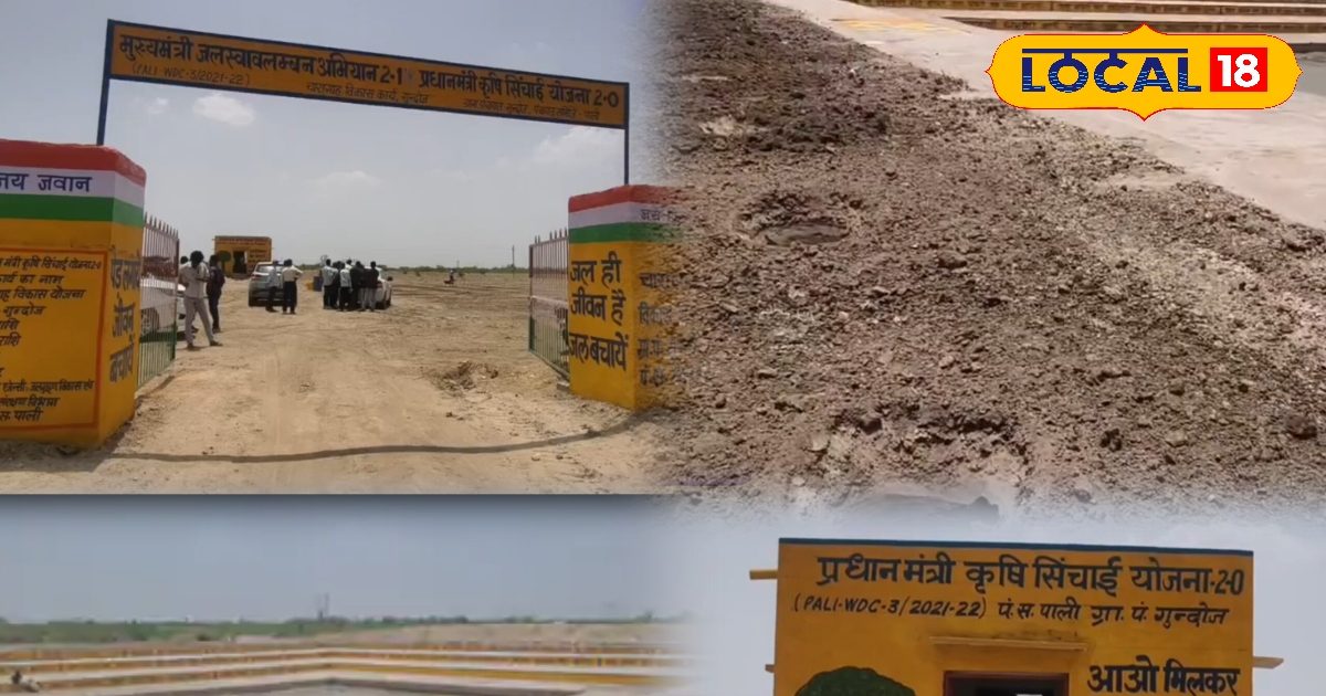 This ‘green mission’ will lower the temperature of Rajasthan … the plants will grow in the shift, which will change