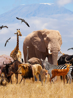 Protect the life of beings from these 7 tasks
