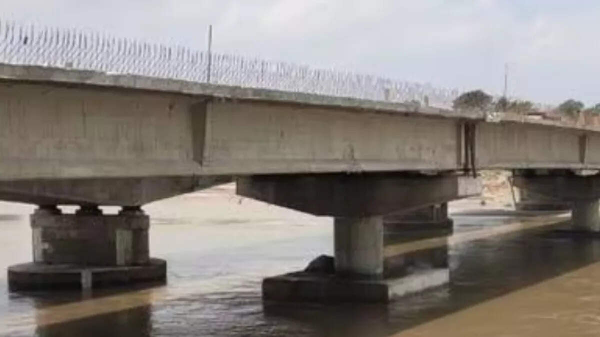 The construction of bridge to the Sukhania River connecting Bhagalpur to Jharkhand-Bengals will be built, very good news before receiving the election