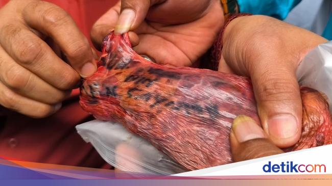 Residents are reluctant to consume the lungs of sacrificial cow with the name of the person in South Tangerang