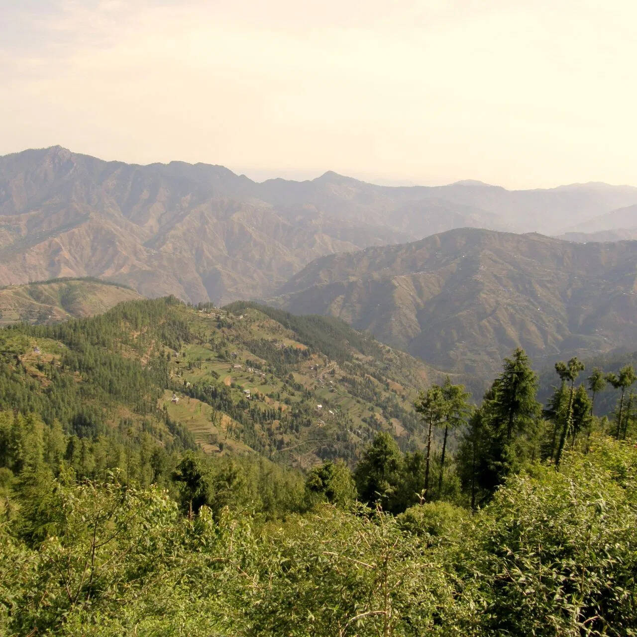 Ladakh goes out, don’t tension the budget, just a wonderful journey will be in so much money