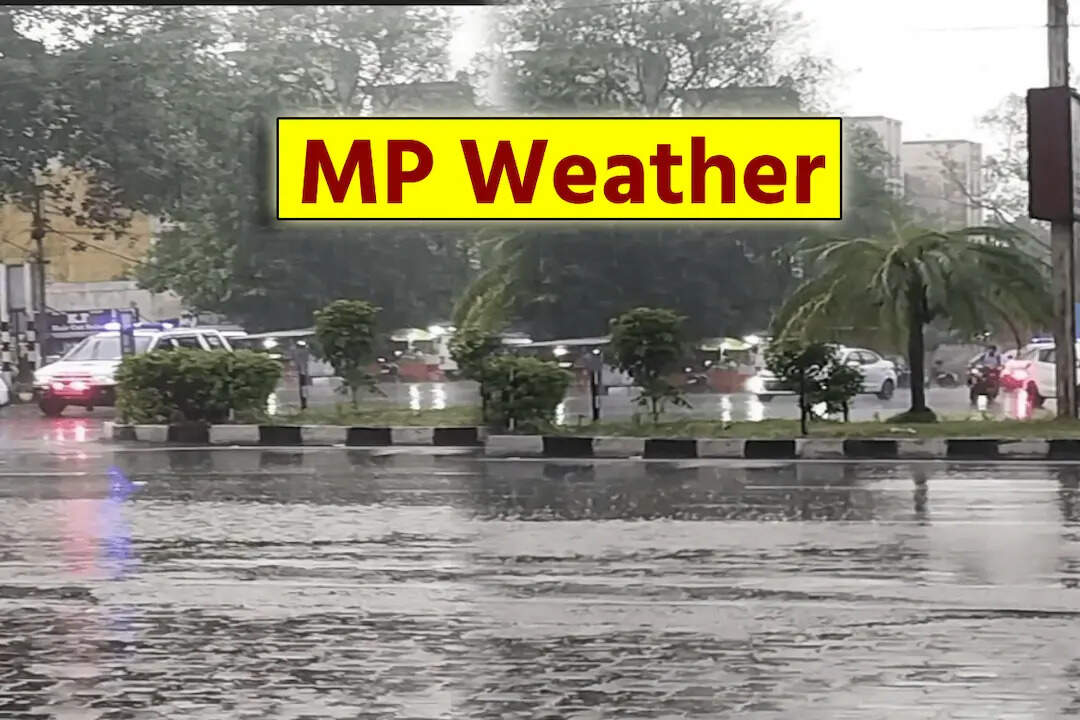 Thunderstorms, alert issued due to Western disorder, dronics and cyclone