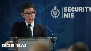 mi5-misled-watchdog-about-neo-nazi-glimpse-case-after-lying-in-court