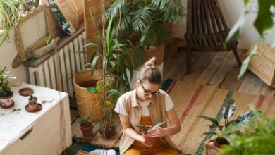 These 8 decorative plants will increase the home