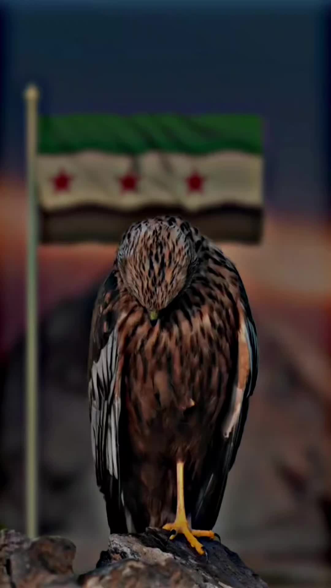 @sa_mo_4 اكبس ع سهم واسحب لل اخير وعيين الفديو خلفية شاشة #الشعب_الصيني_ماله_حل#… – ryan