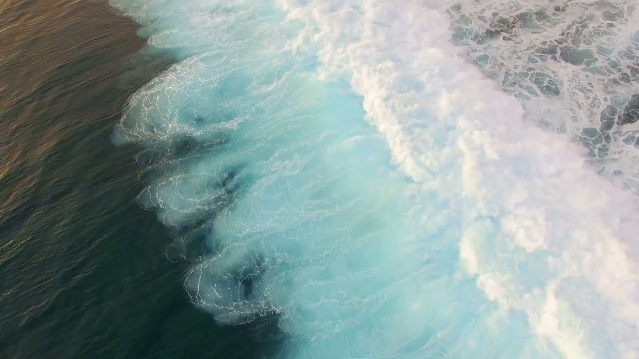جمال البحر والشاطئ والنخيل – The beauty of the sea, beach and palms – ryan