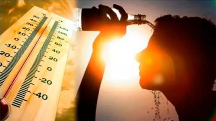 Will mercury cross 50 degrees? The number of heat plants increases every year; IMD has released reports on the burning heat -India -heat -wolf deaths against the collection and reporting of data