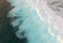 جمال-البحر-والشاطئ-والنخيل-–-the-shock-of-the-sea,-seaside-and-fingers