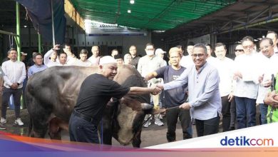 More than 700 offers are channeled by Pegadaian in Indonesia