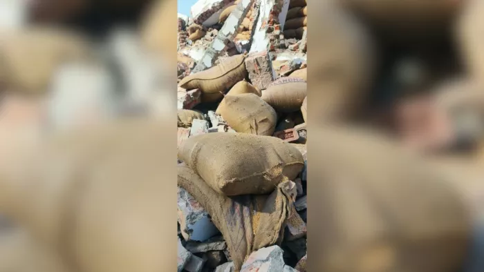 Bulldozers run on illegal Godowns of Delhi, several thousand bags of wheat buried in ruins
