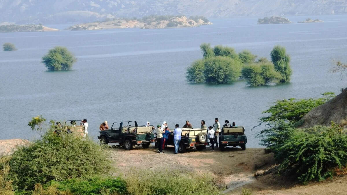 After all, why Jawai Bandh becomes the first choice of tourists, see in the video and decide yourself