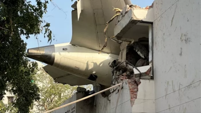 Ahmedabad plane crash: A plane collided with a herd of birds after taking off? Understand the reason for Air India Flight Crash in these 5 points – Ahmedabad Air India Daramline Crash Reason – Experts say experts
