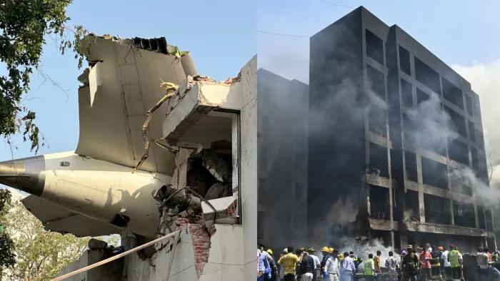Air India Plane Crash: How did Ahmedabad airplane accident occur? Any mistake or something else; What did experts say? – Ahmedabad Plane Crash Bird Strike suspected experts investigating Air India crash