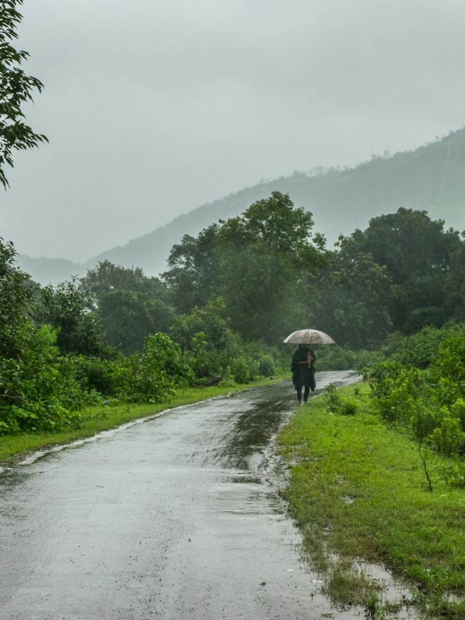 Where is the first rain in India?