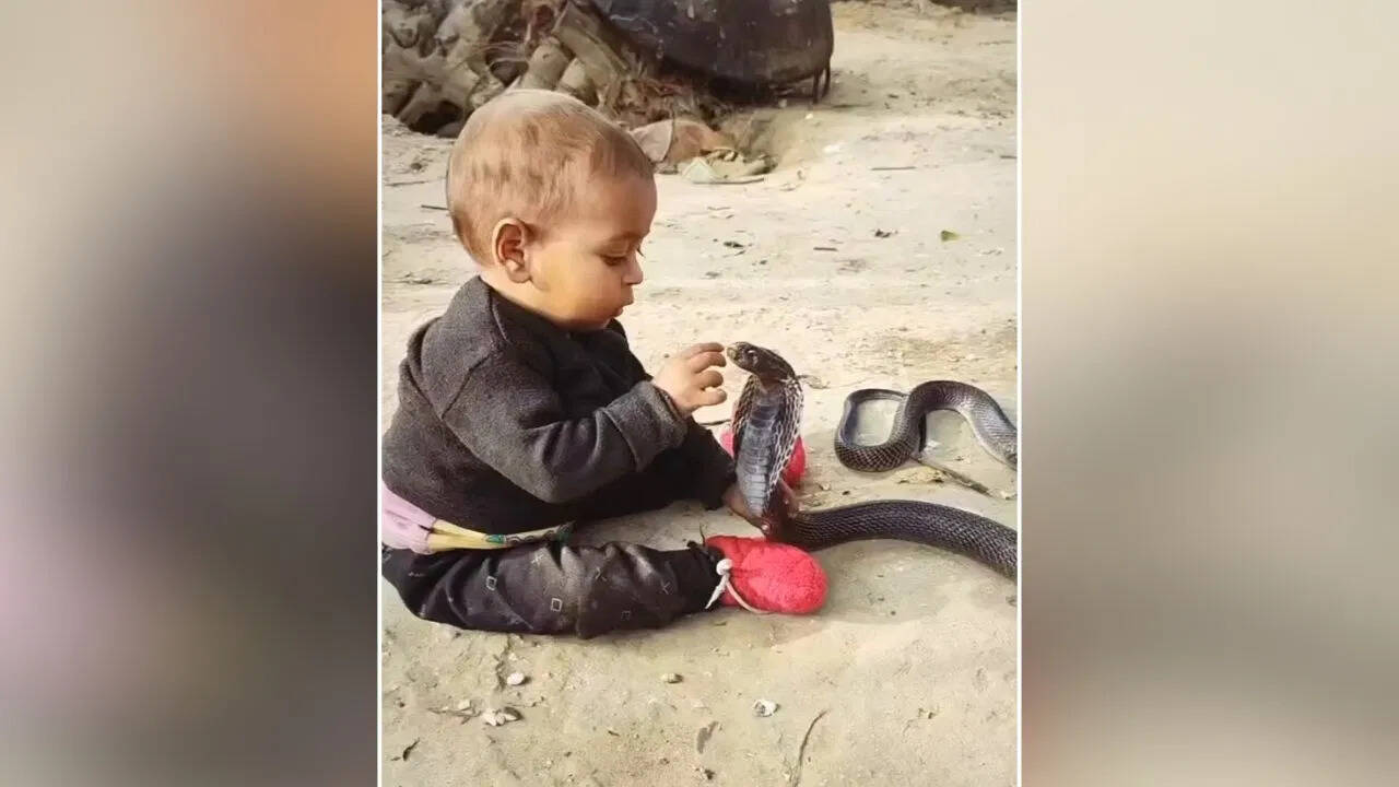 आ गया दिमाग की थकान नापने वाला मीटर! एक टैटू खोलेगा लोगों के बुद्धि की गुधी