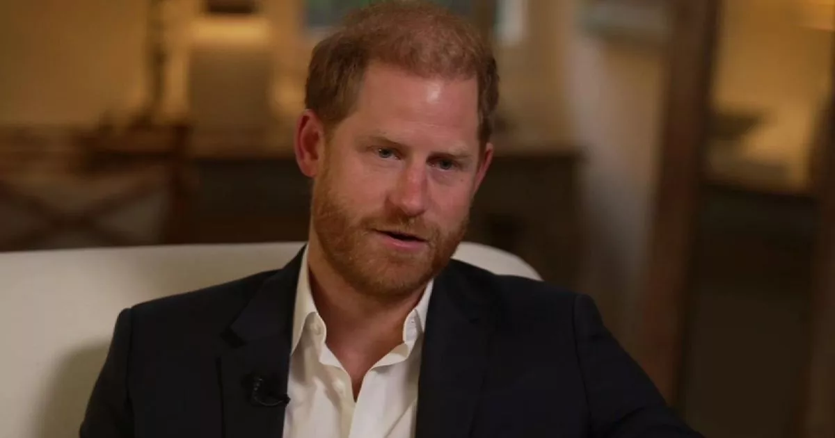prince-harry-has-‘two-rather-loads-of-issues’-that-private-left-him-‘damaged’
