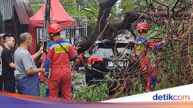 Jakarta was hit by strong wind, the car became a victim of a fallen tree