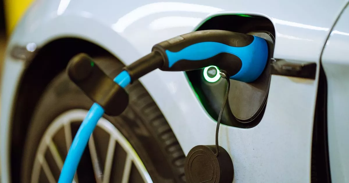 ‘I bought an electric tsar and there’s one huge thing i wish i’d known before’ – ryan