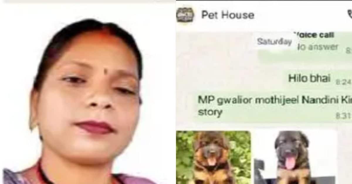 Gwalior Cyber ​​Fraud: Online ‘Doggy Deal’ has become the cause of death in Gwalior! Woman shared OTP, then ate poison