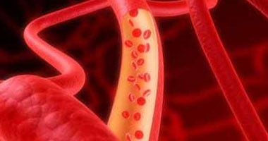 learn-the-final-be-aware-foods-that-provide-protection-to-the-coronary-heart-and-blood-vessels
