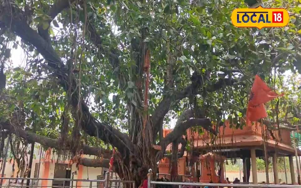 Ghaziabad News: The Anonyms ‘Jallianwala’ of Ghaziabad, where so much hung on the old Banyan, will tremble soul