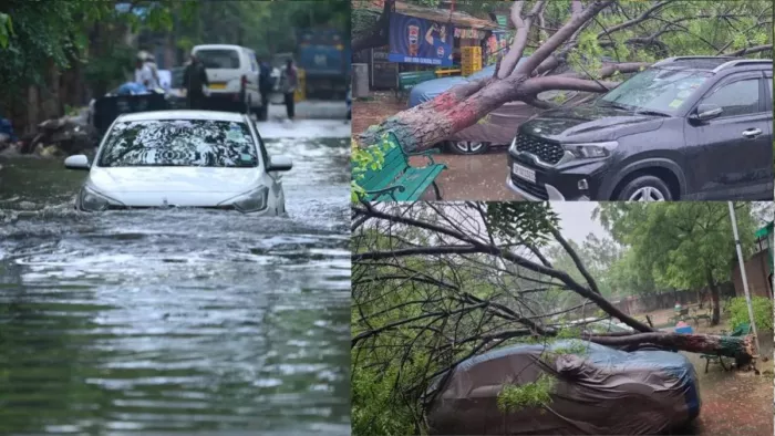 The storm caused such a devastation in Delhi, the death of two people and the trees fell in many places; Know the state of these areas – NCR is two people dead and trees fell in many places due to story and rain in Delhi