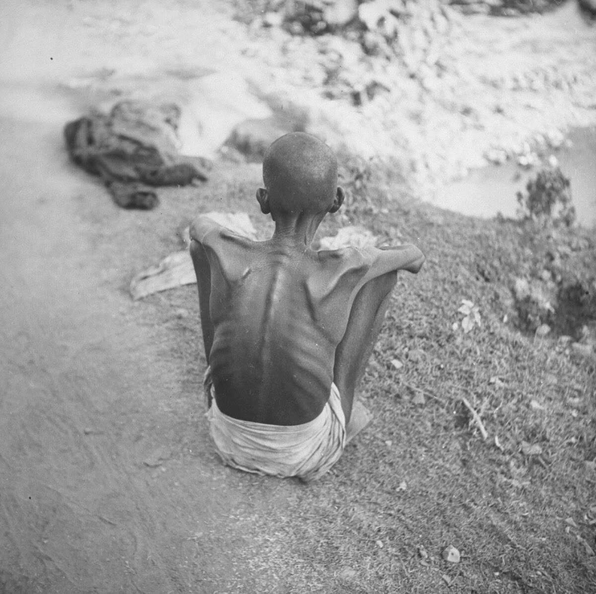 The one who was fed with his hands, like his hands, suddenly became an enemy, knows what is the whole thing?