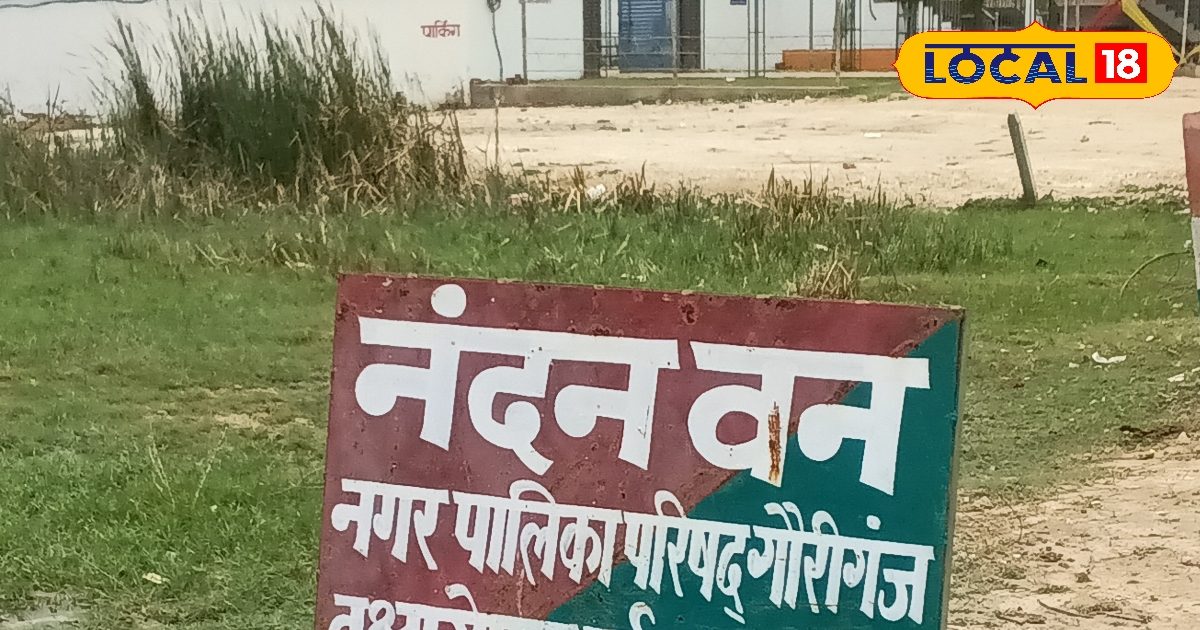 Amethi News: Record is made, dried plants … I planted 4 thousand, not even four, the senses will blow