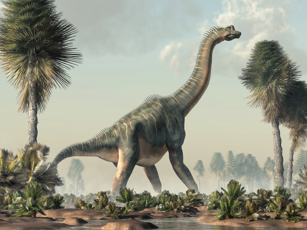 World’s 10 largest dinosaurs