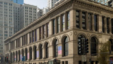 chicago-movie-place-of-work-natasha-p.-olguin-fresh-deputy-commissioner