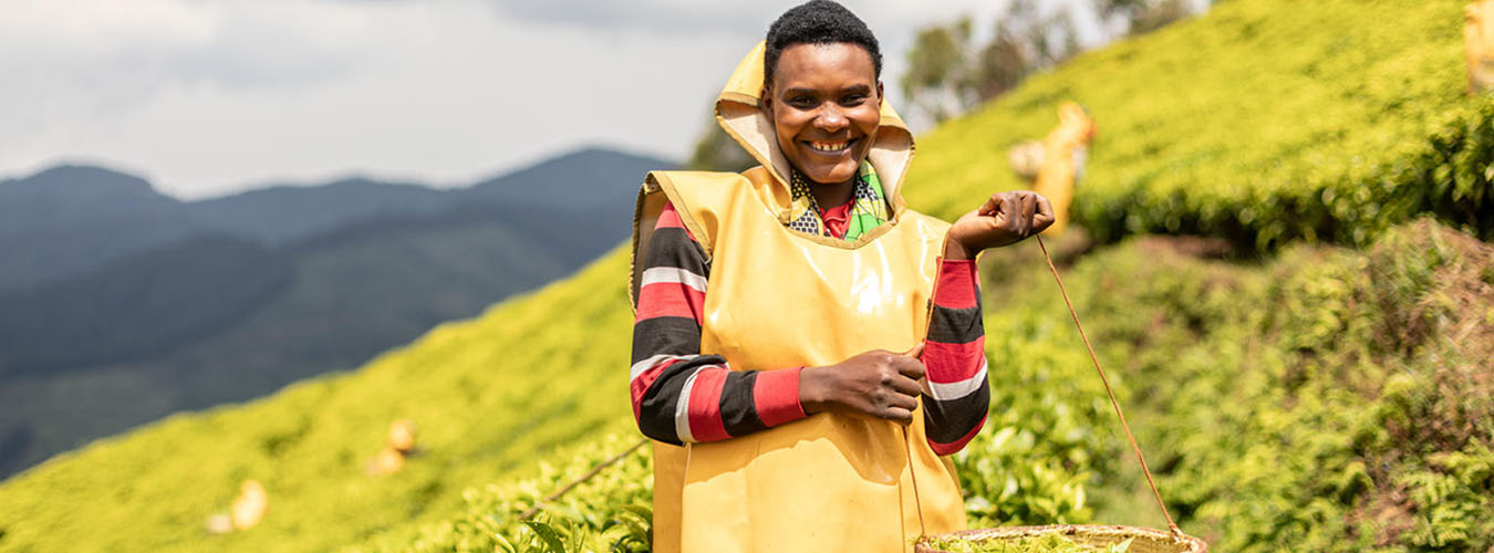 global-tea-day-united-nations