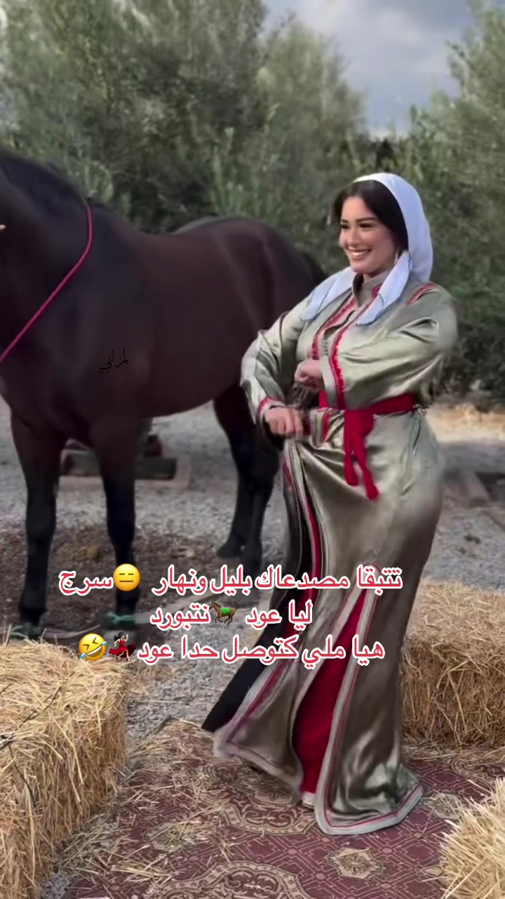 #خيل-حصان-فرس-مه-خيول-امهامهار-العاديات-#التبوريدة-تراث-شعبي-مغربيل-#تبوريد-…