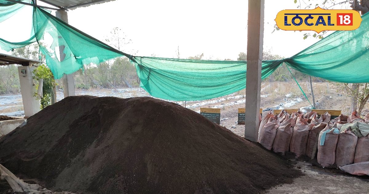 Create super fertilizer in zero issue! Just dig a pit and make such fertilizer within 6 months, which will bloom the fields