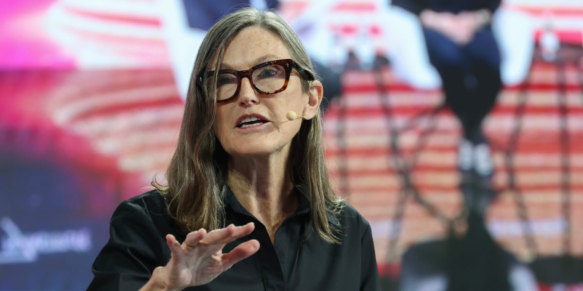 cathie-wood:-musk-trump-feud-displays-how-unprecedented-musk-wants-authorities-make-stronger